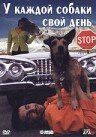 У каждой собаки свой день (1999)